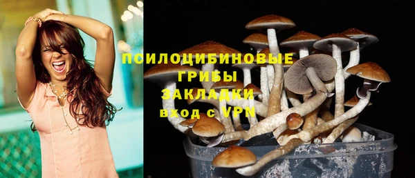 мет Дмитров